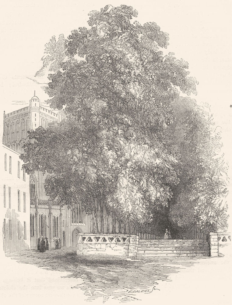 BRISTOL. College Green 1850 old antique vintage print picture